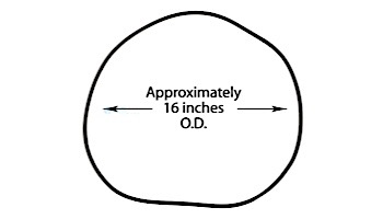 Waterway Plastics O-Ring - Lid for Clearwater II | 805-0460B