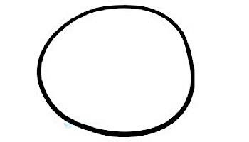 Waterway Plastics O-Ring for Crystal Water Cartridge and D.E. Filter | 805-0000 loading=
