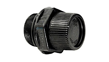 Waterway Plastics Drain Assembly For ClearWater II | 500-5300B