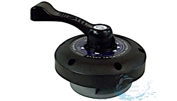 Waterway Multi-Port Lid Assembly | 600-9600B