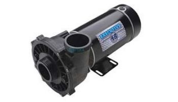 Waterway Executive 48 Spa Pump | 1-Speed 1HP 115V 48-Frame 2" Intake-2" Discharge | 3410410-1A