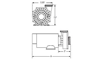 Waterway Hi-Flo Side Discharge-48-Frame | 2-Speed 3HP 230V | 3421221-10