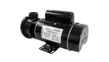 Waterway E Series Spa Pump | 2 Speed 1.5HP 230V 48-Frame Center Discharge | 3420620-15
