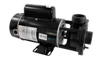 Waterway E Series Spa Pump | 2 Speed 1.5HP 230V 48-Frame Center Discharge | 3420620-15