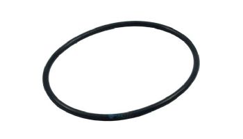 Waterway Trap Lid O-Ring | 805-0439