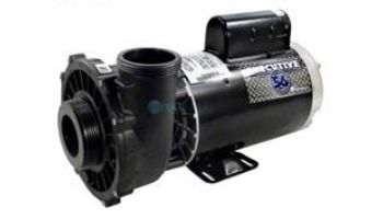 Waterway Executive 56 Frame | 4HP 2-Speed 2_quot; Intake 2_quot; Discharge 230V | 3721621-1D