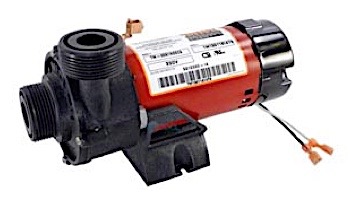 Waterway Tiny Might Circulation Pump | 0.0625HP 230V Threaded | 3312620-14