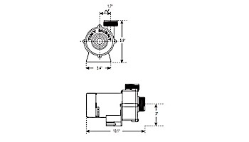 Waterway Tiny Might Circulation Pump | 0.0625HP 230V Threaded | 3312620-14