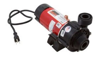 Waterway Tiny Might Circulation Pump | 0.0625HP 115V Threaded | 3_#39; NEMA Cord | 3312610-1401