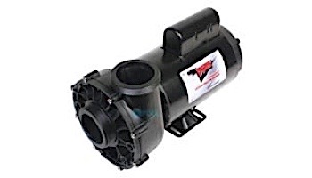 Waterway Viper Spa Pump | 2-Speed 3HP 230V 56-Frame | 3721221-1V