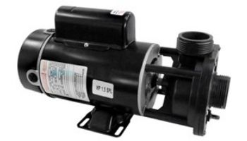 Waterway E Series Spa Pump | 2 Speed 1.5HP 230V 48-Frame Center Discharge | 3420620-15