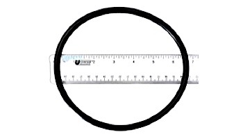 Waterway Trap Lid O-Ring | 805-0436 loading=