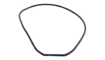 Waterway SVL56 Hi-Flo Face Plate Gasket | 711-4290