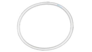 Waterway SKMR FLOAT VLV Sealing Gasket | 711-6400