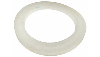 Waterway Gasket | .25" Thick 2" Diameter | Heater or Pump | 711-4020