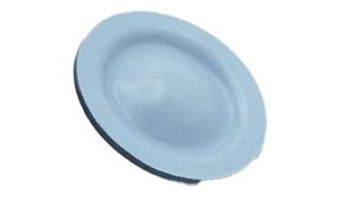 Blue-White Pump Diaphragm S/A 2.0 Standard EP/PTFE | C-406T