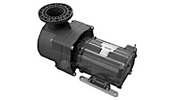 Pentair EQ1000 Series 10HP Nema Premium Efficiency Single Phase Pool Pump without Strainer 230V | 340237