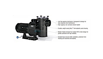 Hayward HCP Series Thermoplastic 3 Phase Commercial Pump | 10HP 230/460 | HCP100