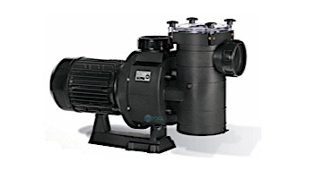 Hayward HCP Series Thermoplastic 3 Phase Commercial Pump | 12.5HP 230/460 | HCP125