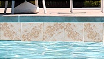 National Pool Tile Oasis Series 6x6 | Sahara Desert | OSS-DESERT