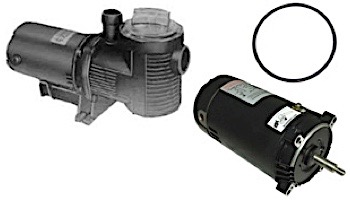 Seal & Gasket Kit for American Eagle Pool Pumps | GO-KIT21 APCK1015
