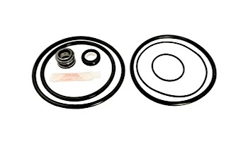 Seal & Gasket Kit for PacFab Hydro Pool Pumps | GO-KIT22 APCK1016