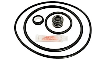 Seal & Gasket Kit for Pentair PacFab Pinnacle Pool Pumps | GO-KIT24 APCK1018