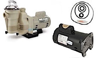 Seal _ Gasket Kit for Pentair PacFab Pinnacle Pool Pumps | GO-KIT24 APCK1018 loading=