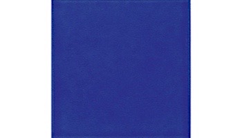National Pool Tile 6x6 Solids Series | Glossy Cobalt Blue | M6764PG | M6764C