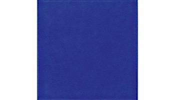 National Pool Tile 6x6 Solids Series | Glossy Cobalt Blue | M6764PG | M6764C