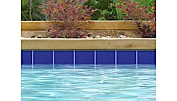 National Pool Tile 6x6 Solids Series | Glossy Cobalt Blue | M6764PG | M6764C