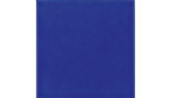 National Pool Tile 6x6 Solids Series | Glossy Cobalt Blue | M6764PG | M6764C