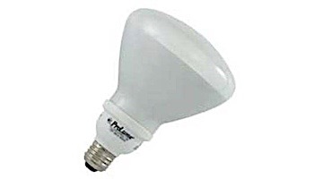 Halco Lighting Technologies | ProLume R40 CFL 120V | 23W | 46208