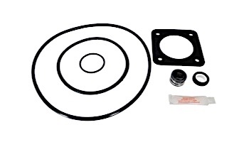 Aladdin Go Kit for Sta-Rite Max-E-Glas and Dura-Glas 1998 to present | Seals & Gaskets GO-KIT54 | APCK1051