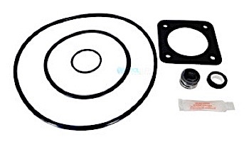 Aladdin Go Kit for Sta-Rite Max-E-Glas and Dura-Glas 1998 to present | Seals & Gaskets GO-KIT54 | APCK1051