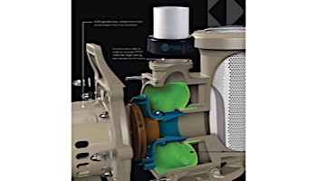 Pentair WhisperFlo XF Energy Efficient Pool Pump | 208/230V 3HP | XFE-12 | 022010