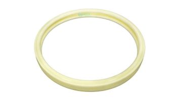 Pentair Intellibrite 5G LED Pool Light Lens and Gasket Assembly | 619864Z