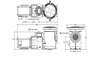 Pentair EQ1000 Series Premium Efficiency Pool Pump with Strainer | NEMA Rated | Single Phase | 230V 10HP | 340238