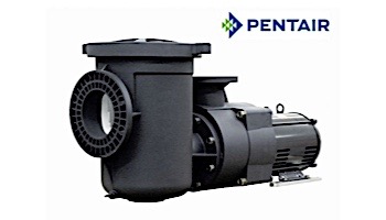 Pentair EQ1000 Series Premium Efficiency Pool Pump with Strainer | NEMA Rated | Single Phase | 230V 10HP | 340238