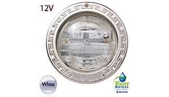 Pentair Intellibrite 5G WHITE Pool Light for Inground Pools | 12V LED 300W 30' Cord | 601105