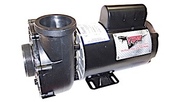 Waterway Viper Spa Pump | 2-Speed 4HP 230V 56-Frame | 3721621-1V