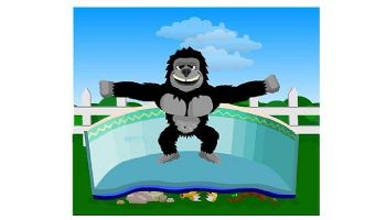 12' x 20' Oval Gorilla Pad and Cove Kit | 56203