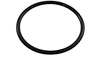 Zodiac Aquapure Ei Series O-Ring | R0511600