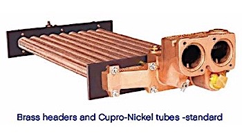 Raypak Professional Series Natural Gas Commercial Pool & Spa Swimming Pool Heater 399K BTU | Cupro Nickel Heat Exchanger | Electronic Ignition | Digital Controls | B-R408-EN-X #50 013731