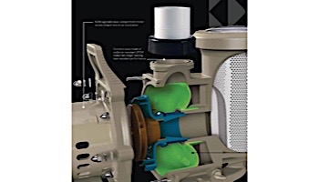 Pentair WhisperFloXF 2HP Premium Efficiency 3-Phase Pool Pump with Super-Duty TEFC Motor 208-230/460V XFK-8 | 022017