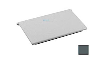 AquaStar Skimmer Weir Plate with 2 Clips | Dark Gray | SKWD105