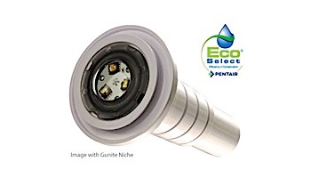 Pentair Color GLOBRITE Shallow Water Color LED Light 12V 150' Cord | 602056