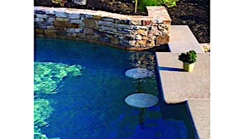 SR Smith Destination Series 16" In-Pool Seat | Gunite Anchor Included | Tan | WS-POOLSEAT-51-C