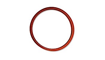 J_J Guardian Silicone Lens Gasket for SwimQuip Pool Lights | LPL-G-S 26040