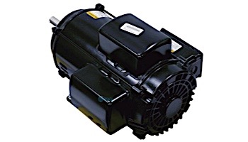 Replacement Pentair EQ500 Motor | 230V 5HP | 357065S